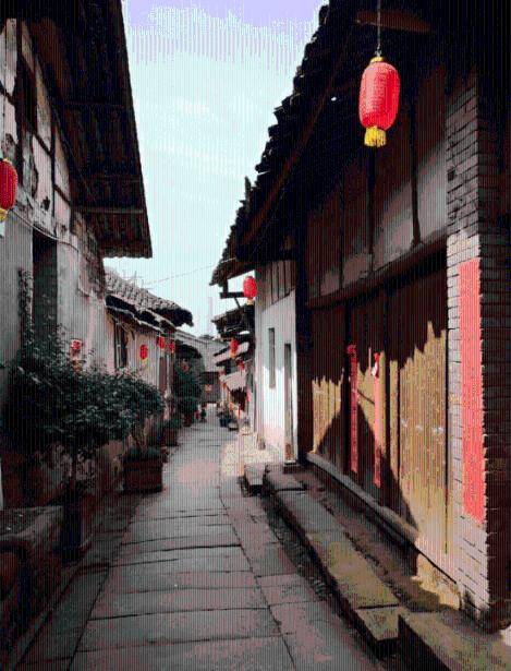 五彩鹦鹉救援